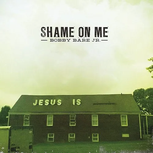 Bobby Bare Jr. - Shame On Me vinyl record cover