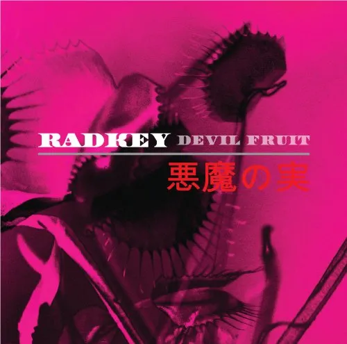 Radkey - Devil Fruit vinyl record cover