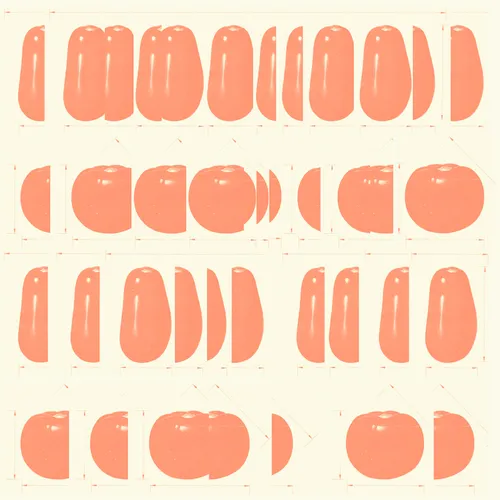 The Notwist - Run Run Run vinyl record cover