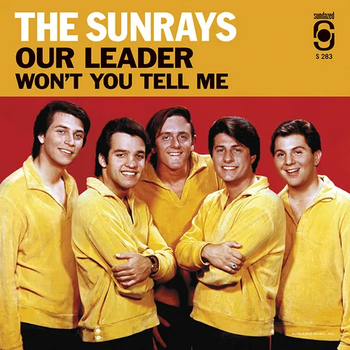Sunrays - Our Leader / Won't You Tell Me vinyl record cover