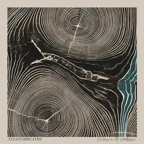Needtobreathe - Rivers in the Wasteland vinyl record cover