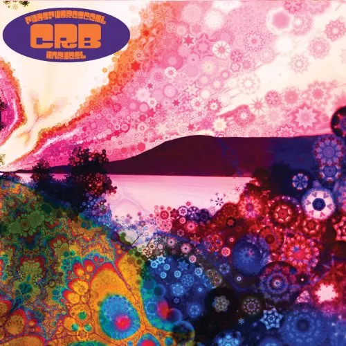 Chris Robinson - Phosphorescent Harvest vinyl record cover