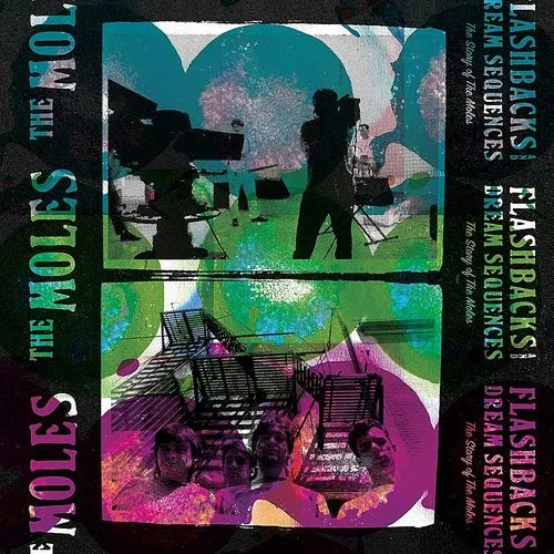 The Moles - Flashbacks and Dream Sequences: The Story of the Moles vinyl record cover
