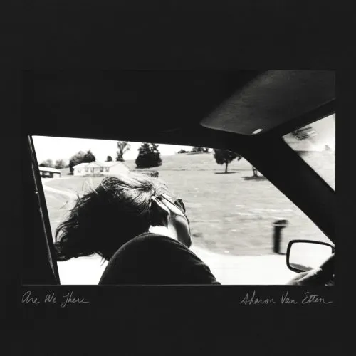 Sharon Van Etten - Are We There (Colored Vinyl) vinyl record cover