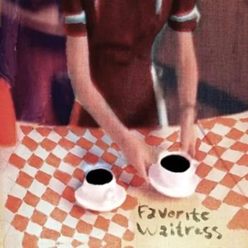 The Felice Brothers - Favorite Waitress vinyl record cover