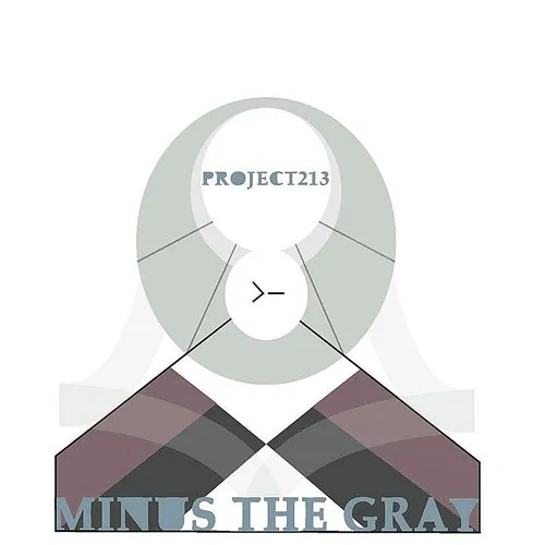 Project213 - Minus the Gray vinyl record cover
