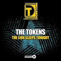 Lion Sleeps Tonight