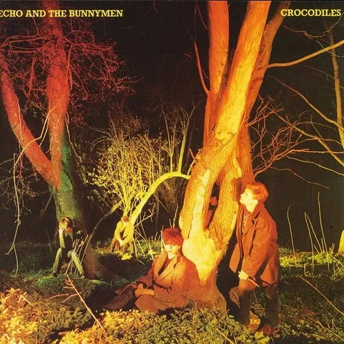 Echo & The Bunnymen - Crocodiles vinyl record cover
