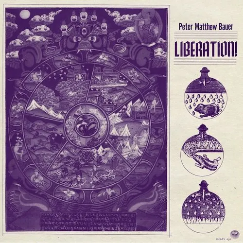 Peter Matthew Bauer - Liberation vinyl record cover