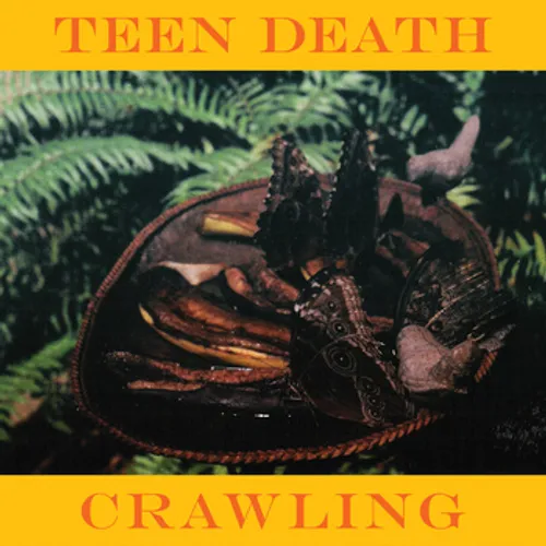 Teen Death - Crawling vinyl record cover