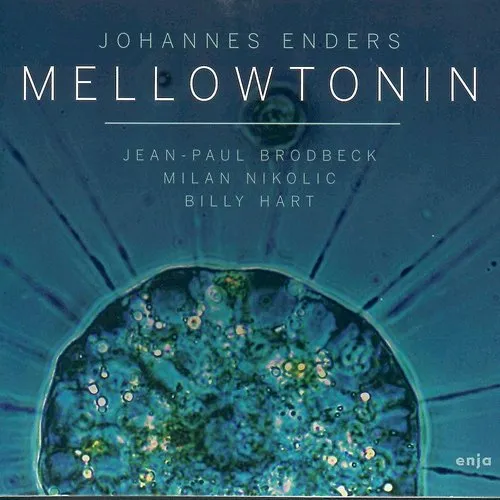 Johannes Enders - Mellowtonin vinyl record cover