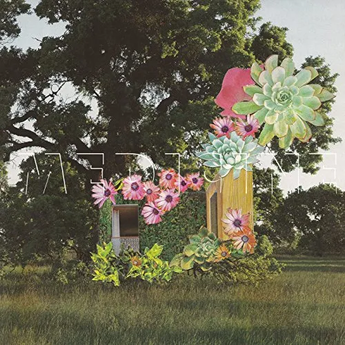 Medicine - Home Everywhere vinyl record cover