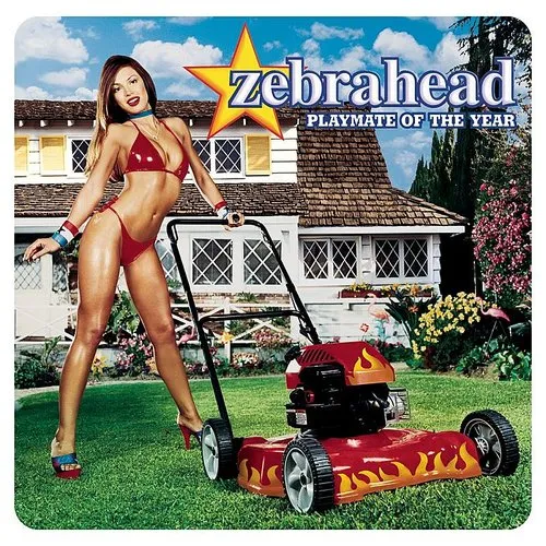 Zebrahead - Playmate of the Year vinyl record cover