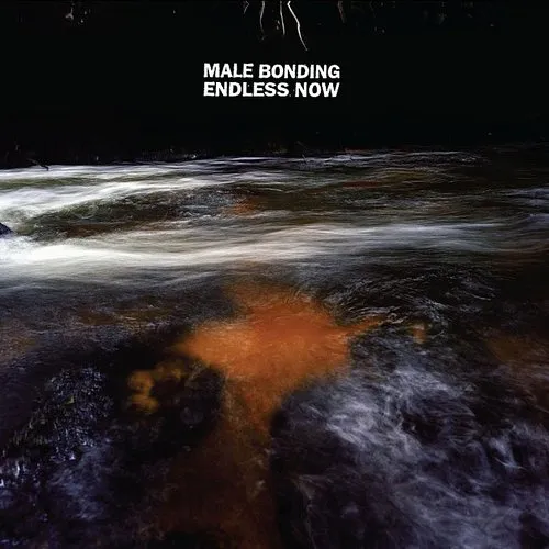 Male Bonding - Endless Now vinyl record cover