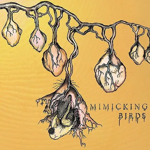 Mimicking Birds - Mimicking Birds vinyl record cover