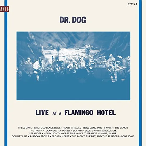 Dr. Dog - Live At A Flamingo Hotel vinyl record cover