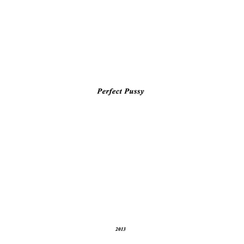 Perfect Pussy - I Have Lost All Desire For Feeling vinyl record cover