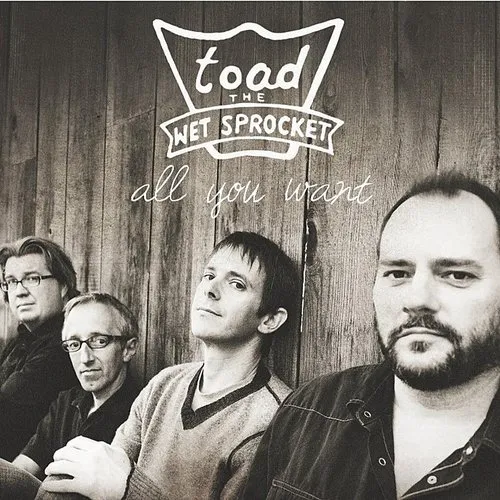 Toad The Wet Sprocket - All You Want vinyl record cover