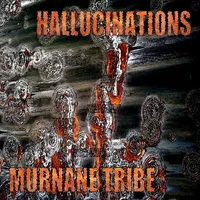 Hallucinations