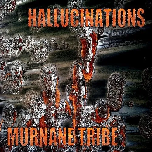 Murnane Tribe - Hallucinations vinyl record cover