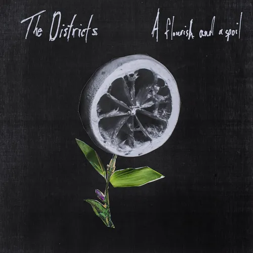 The Districts - A Flourish and a Spoil vinyl record cover