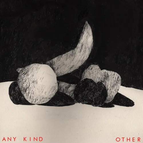 Any Kind - Other vinyl record cover