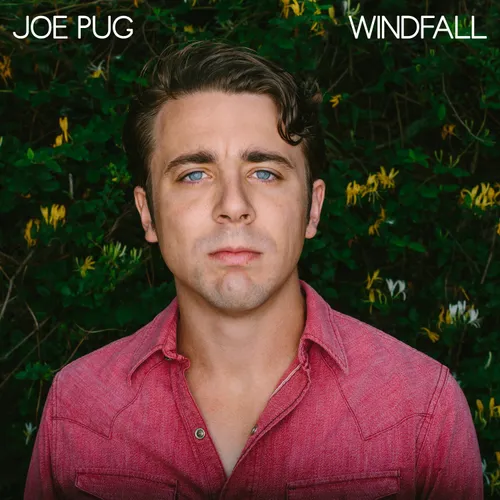 Joe Pug - Windfall vinyl record cover