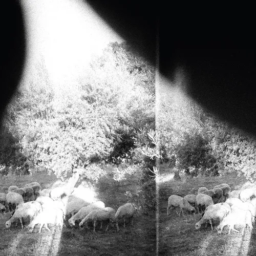 Godspeed You! Black Emperor - Asunder, Sweet And Other Distress vinyl record cover
