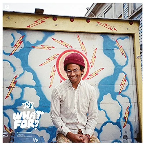 Toro Y Moi - What for vinyl record cover
