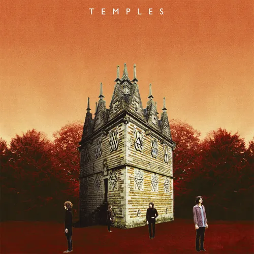 Temples - Mesmerise Live vinyl record cover