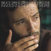 The Wild, The Innocent And The E Street Shuffle