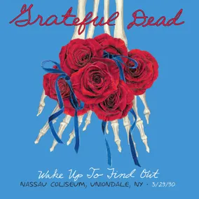 Vintage 90s Grateful Dead T-Shirt Mens XL Deadstock Tie Dye Roller Coaster