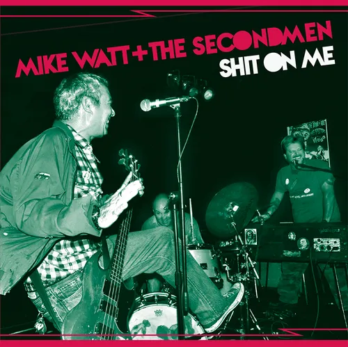 Artist - Shit on Me/Striking Out vinyl record cover