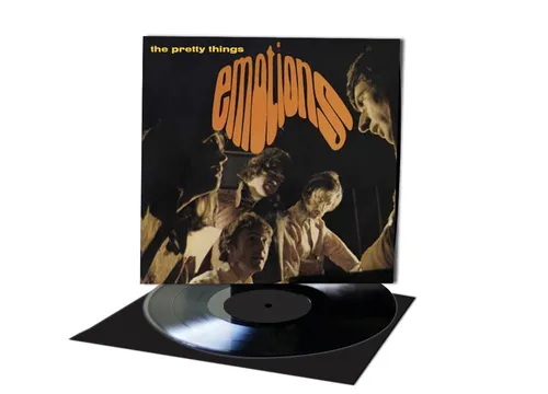 The Pretty Things - Get the Picture? vinyl record cover