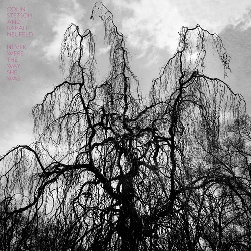 Colin Stetson - Never Were the Way She Was vinyl record cover