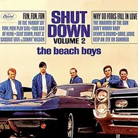 Shut Down Volume 2
