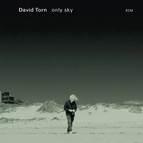 David Torn (Jazz) - Only Sky vinyl record cover