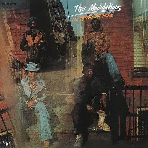 The Modulations - NOTHING VENTURED, NOTHING GAINED vinyl record cover