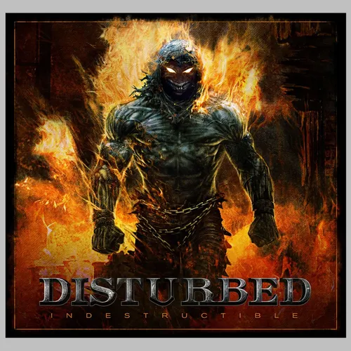 Disturbed - Indestructable vinyl record cover