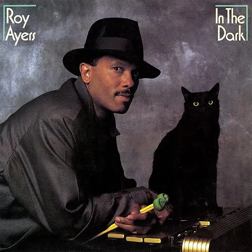 Roy Ayers - In The Dark (bonus Tracks Edition) vinyl record cover
