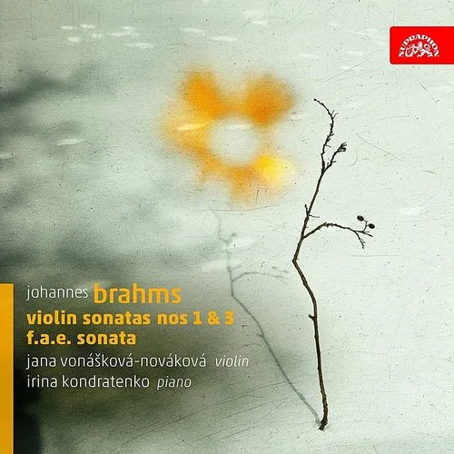 Brahms / Dietrich / Schumann / Vonaskova - Violin Sonatas vinyl record cover
