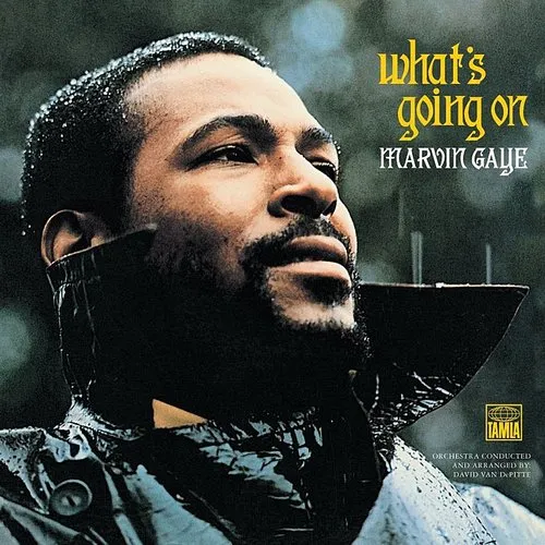 Marvin Gaye - What's Going on vinyl record cover