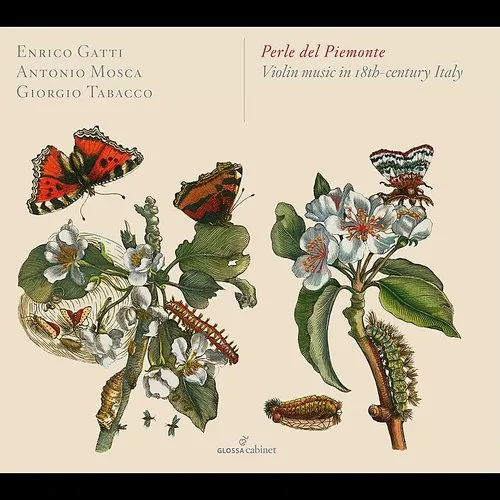 Somis / Gatti / Mosca / Tabacco - Perle Del Piemonte - Violin Music in 18Th-Century vinyl record cover