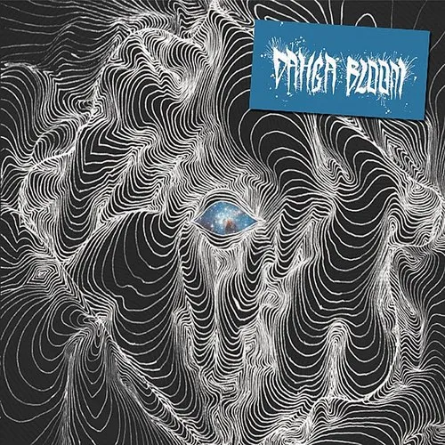 Dahga Bloom - No Curtains vinyl record cover