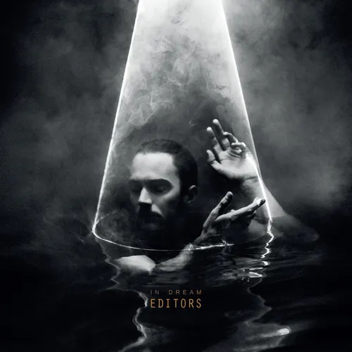 Editors - In Dream vinyl record cover