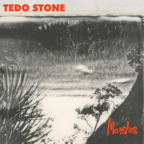Tedo Stone - Marshes vinyl record cover