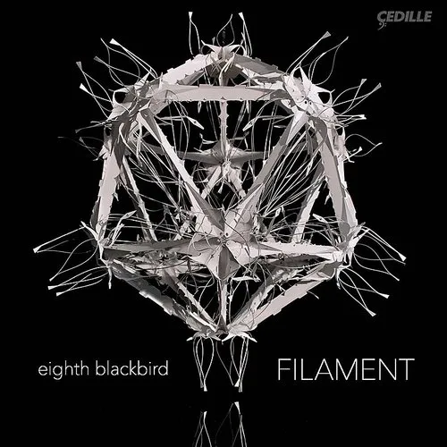 Dessner / Eighth Blackbird / Dessner / Muhly - Filament vinyl record cover