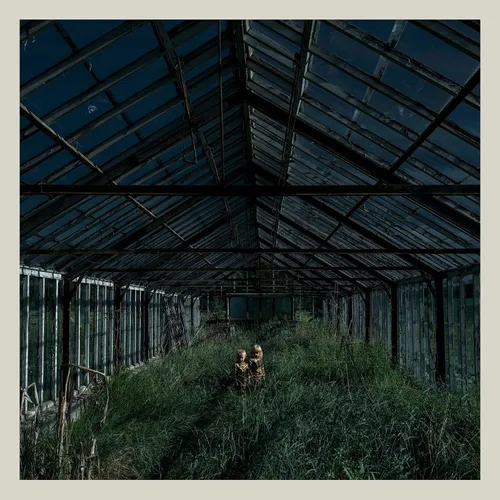 Foxing - Dealer vinyl record cover