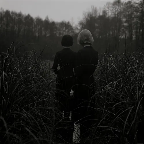 Goldmund - Sometimes vinyl record cover