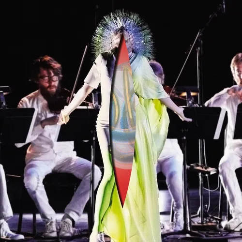 Bjork - Vulnicura Strings vinyl record cover